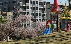 長住中央公園がリニューアル